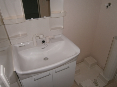 シャンプードレッサー