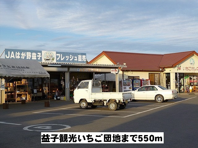 益子観光いちご団地