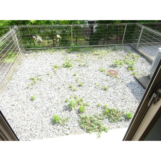 専用庭