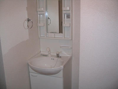 シャンプードレッサー