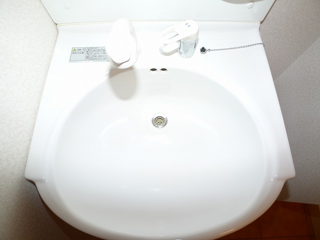 シャンプードレッサー