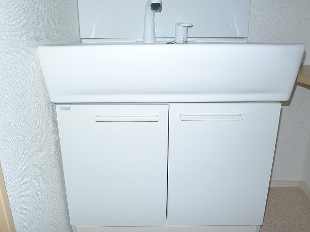 シャンプードレッサー